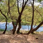 Blue River * Orikum