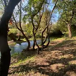 Blue River *