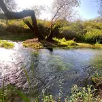 Blue River Orikum