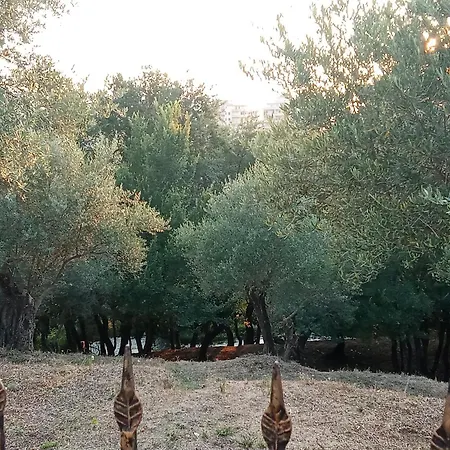 Blue River Διαμέρισμα *