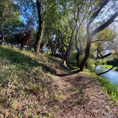 Blue River