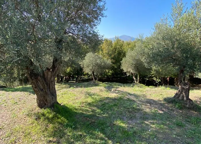 Διαμέρισμα Blue River *