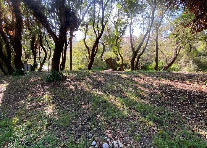 Blue River Διαμέρισμα *