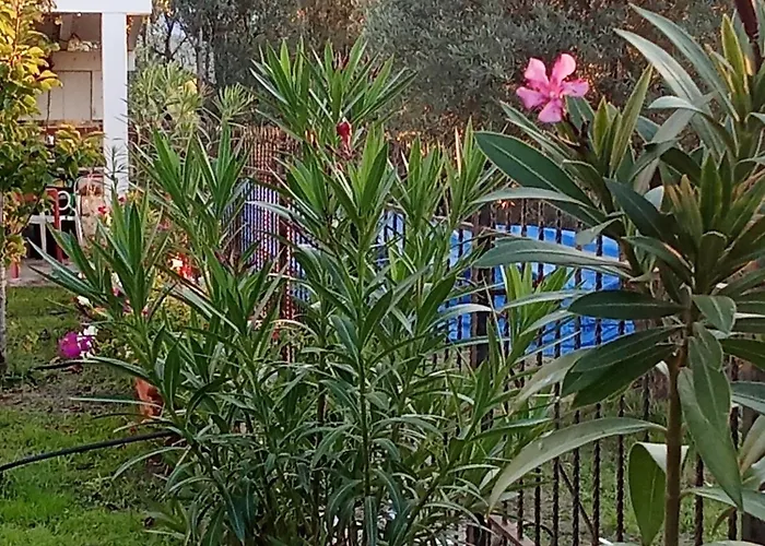 Διαμέρισμα Blue River