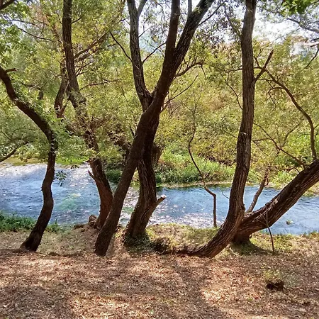 Blue River * Orikum