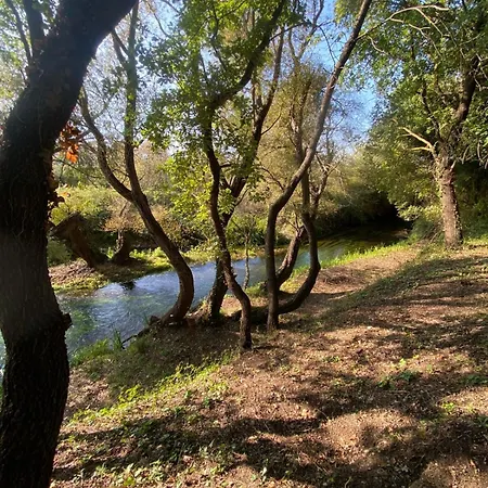 Blue River *