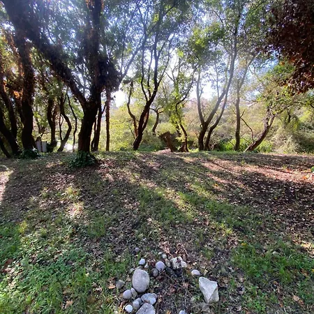 Blue River Apartamento *