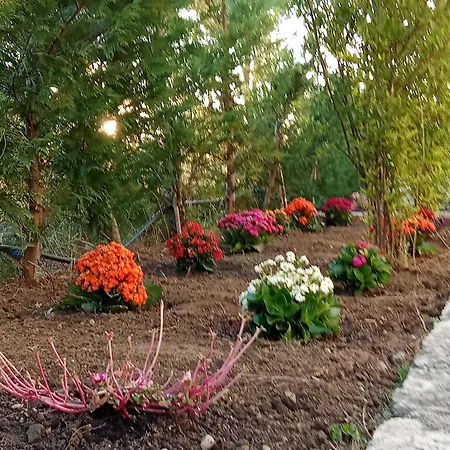 Apartamento Blue River