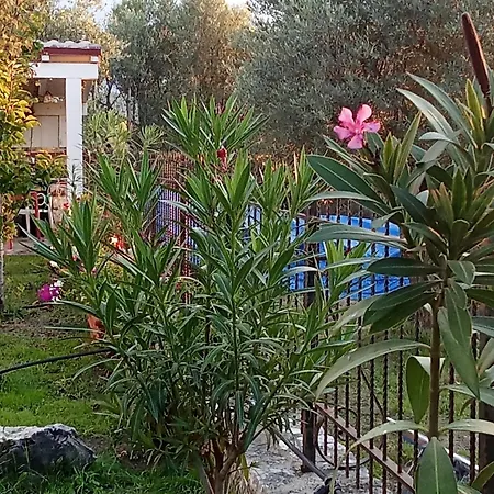 Apartamento Blue River