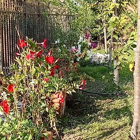 Blue River Apartamento Orikum